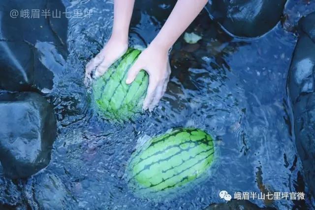 双叒叕在全国火了!电子pg这个地方又(图6) 双叒叕在全国火了!电子pg这个地方又(图6)