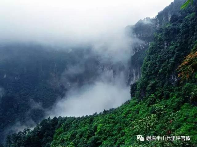 双叒叕在全国火了！电子pg这个地方又(图10)