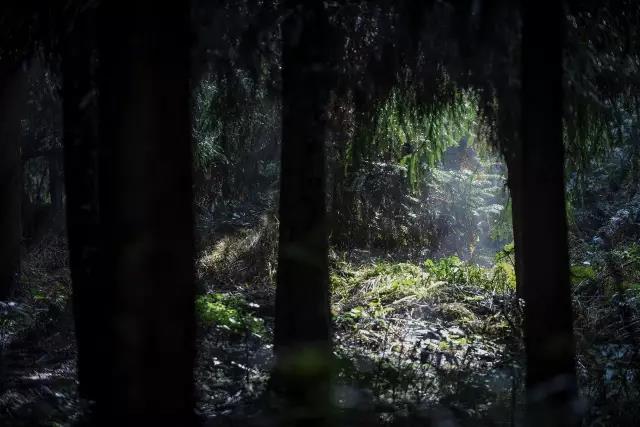 双叒叕在全国火了！电子pg这个地方又(图13)