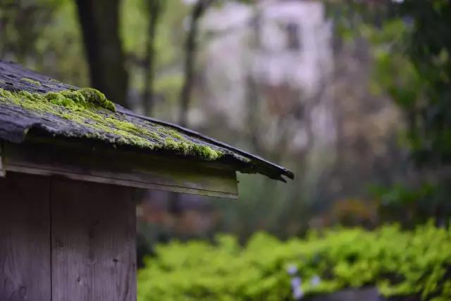 双叒叕在全国火了!电子pg这个地方又(图14) 双叒叕在全国火了!电子pg这个地方又(图14)