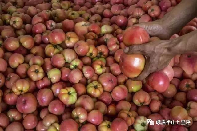 双叒叕在全国火了!电子pg这个地方又(图15) 双叒叕在全国火了!电子pg这个地方又(图15)